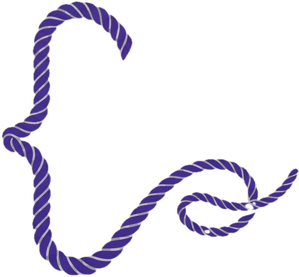 Codio Software logo